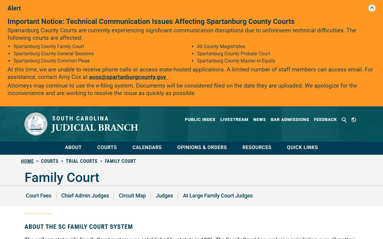 Florence County court dockets Family Court overview
